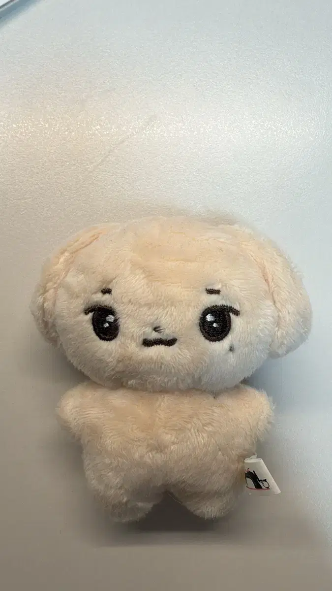 안효섭 인형 (폴뭉이)